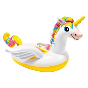 Intex Unicorn